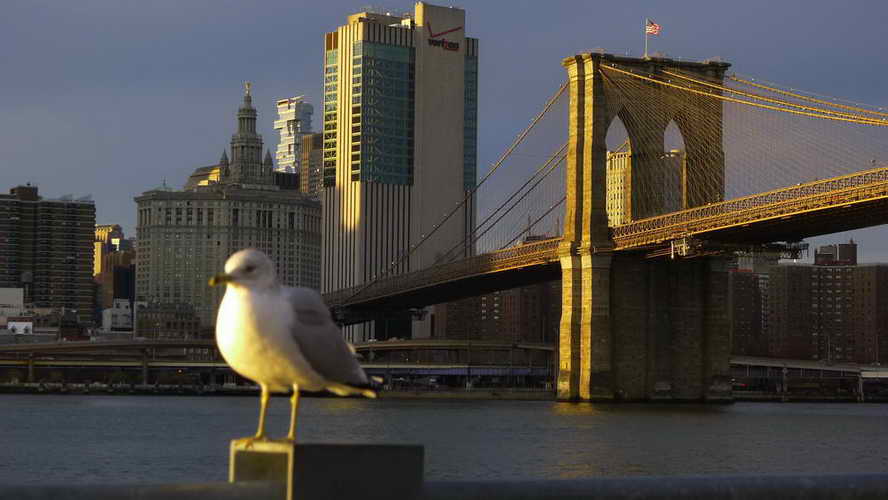 NYC_2017-11-26 15-58-42_P1140496